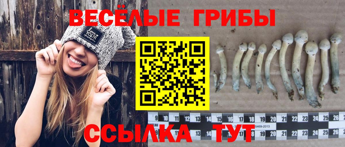 Псилоцибиновые грибы мицелий  Вход с VPN  Галлюциногенные грибы MAGIC MUSHROOMS  Каспийск 