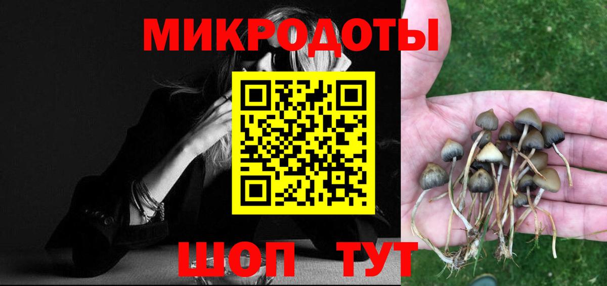 Псилоцибиновые грибы ЛСД Каспийск